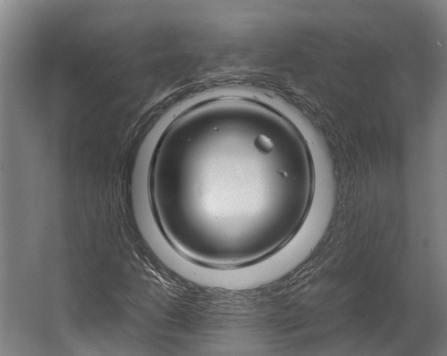 X0000062621206200601040956