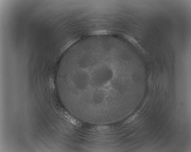 X0000062621209200601040956