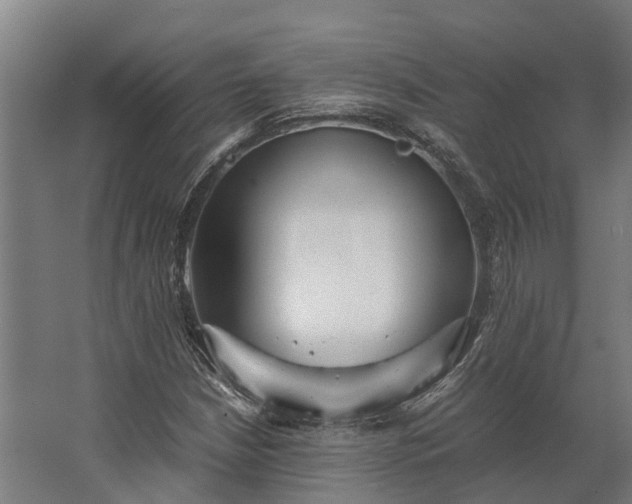 X0000062621210200601040956