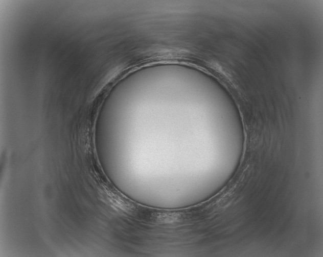 X0000062621211200601040956