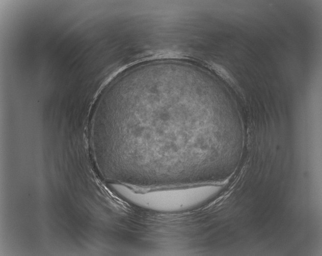 X0000062621212200601040956