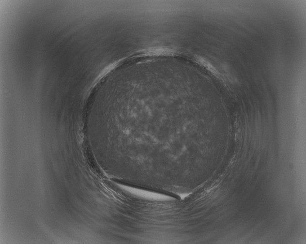 X0000062621213200601040956