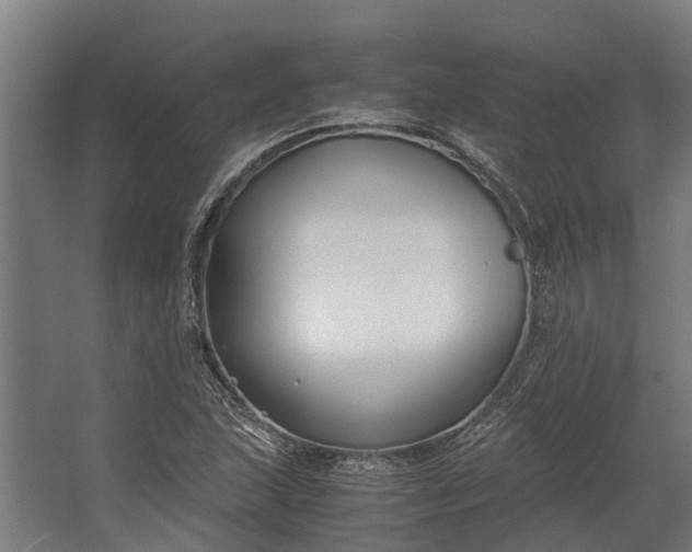 X0000062621215200601040956