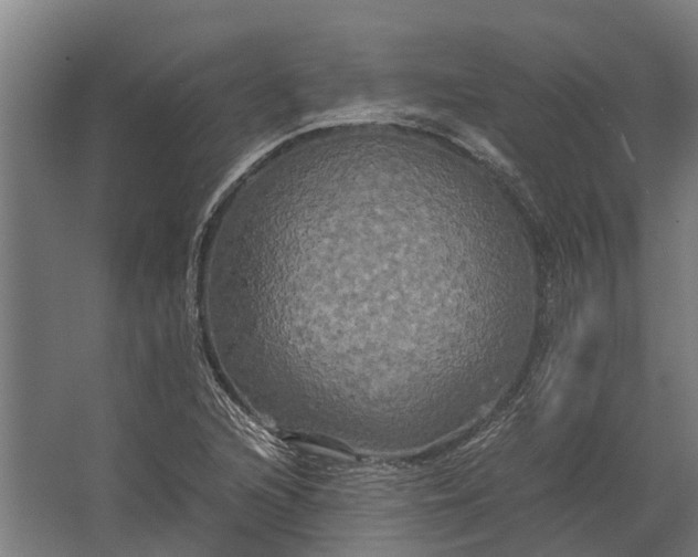 X0000062621216200601040956