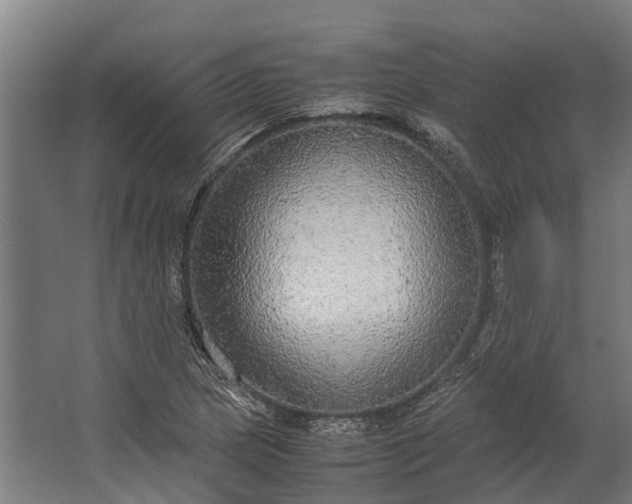 X0000062621217200601040956