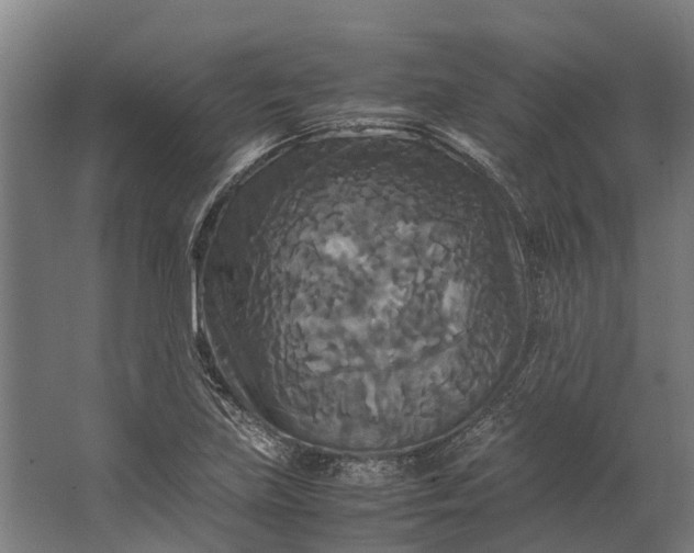 X0000062621219200601040956