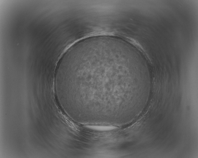 X0000062621220200601040956