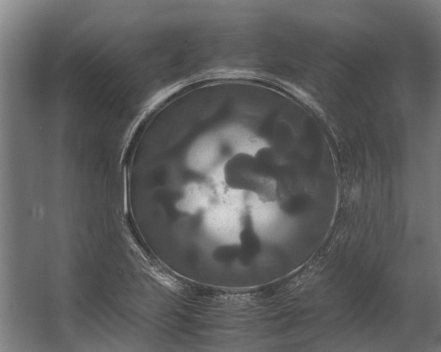 X0000062621223200601040956