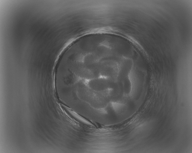 X0000062621224200601040956