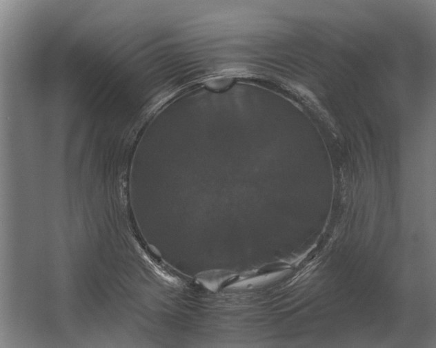 X0000062621225200601040956