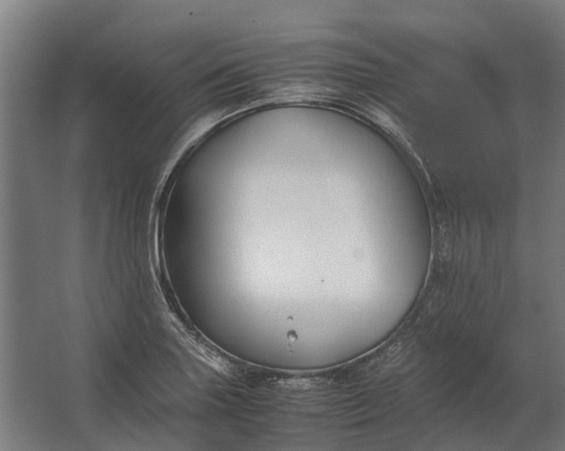 X0000062621227200601040957