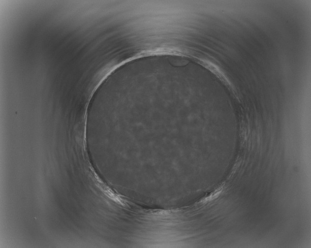 X0000062621228200601040957