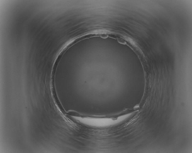 X0000062621229200601040957