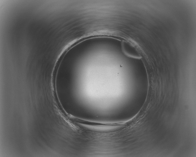 X0000062621230200601040957