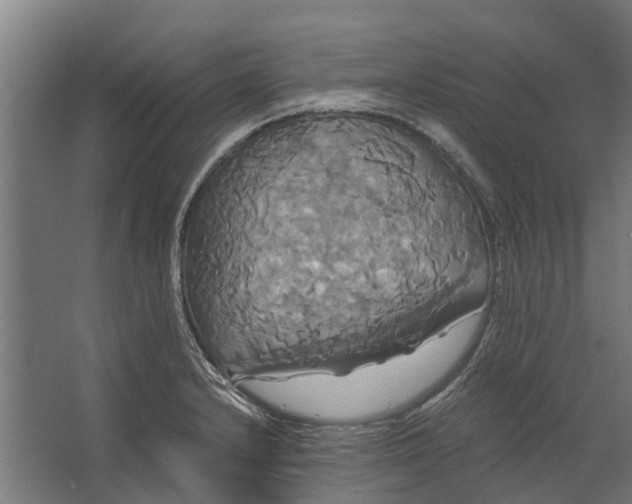 X0000062621232200601040957