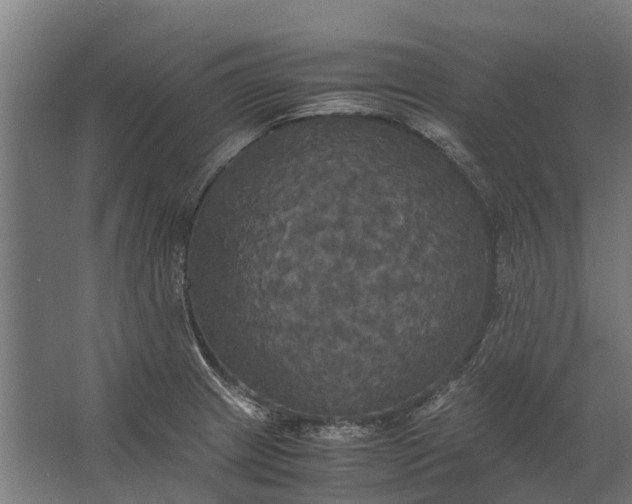 X0000062621233200601040957