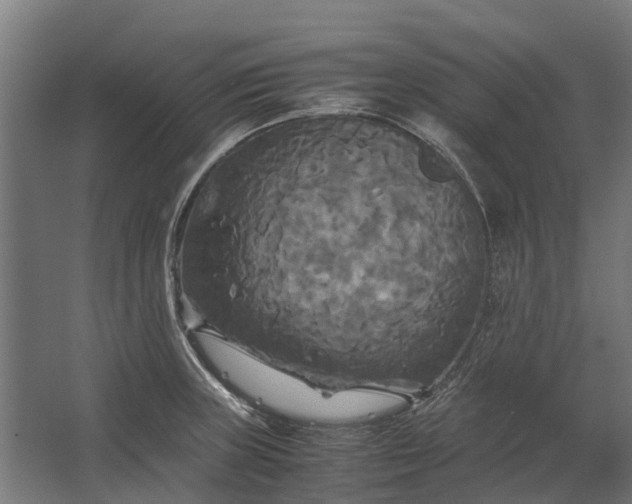 X0000062621235200601040957