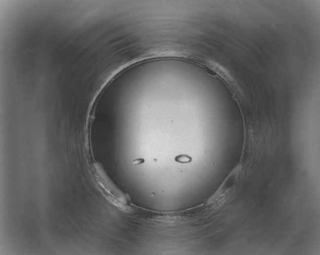 X0000062621236200601040957