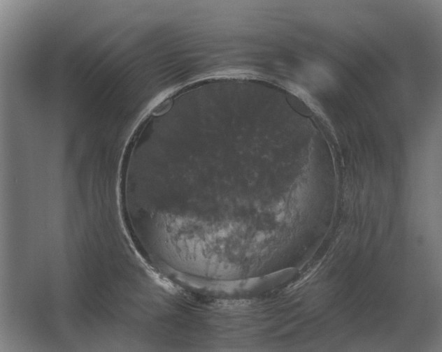 X0000062621237200601040957