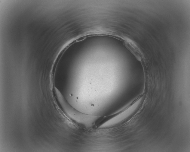 X0000062621238200601040957