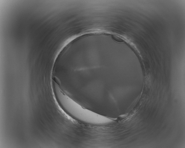 X0000062621239200601040957