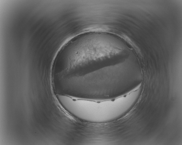 X0000062621240200601040957