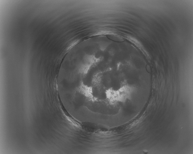 X0000062621241200601040957