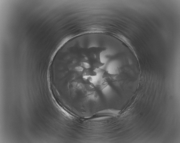 X0000062621243200601040957