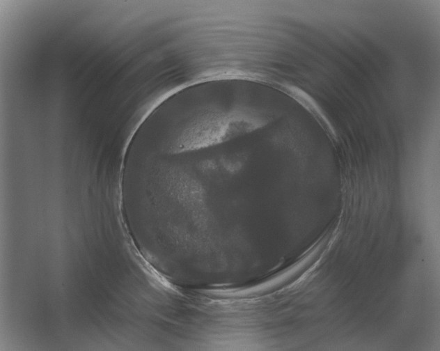 X0000062621244200601040957