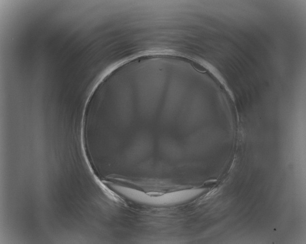 X0000062621245200601040957