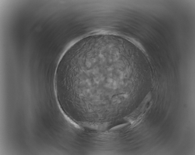 X0000062621247200601040957