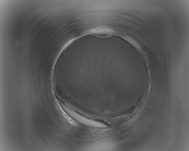 X0000062621248200601040957