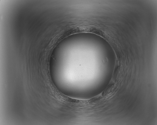 X0000062621249200601040956