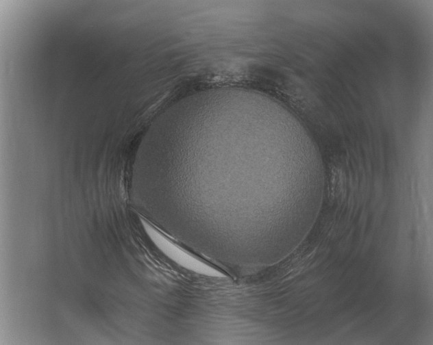 X0000062621250200601040956