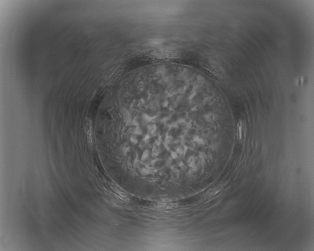 X0000062621251200601040956