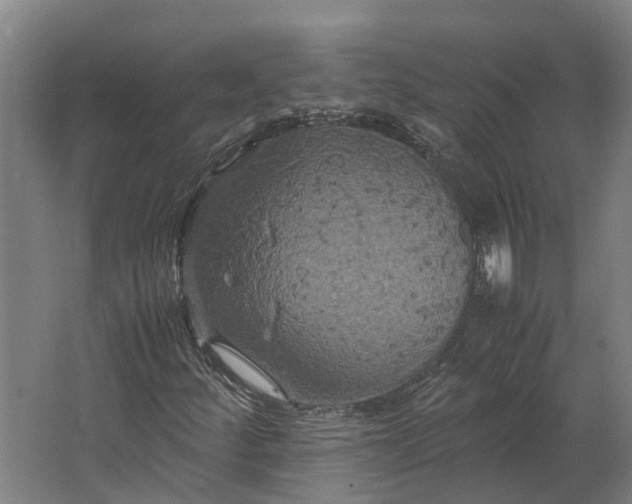 X0000062621252200601040956