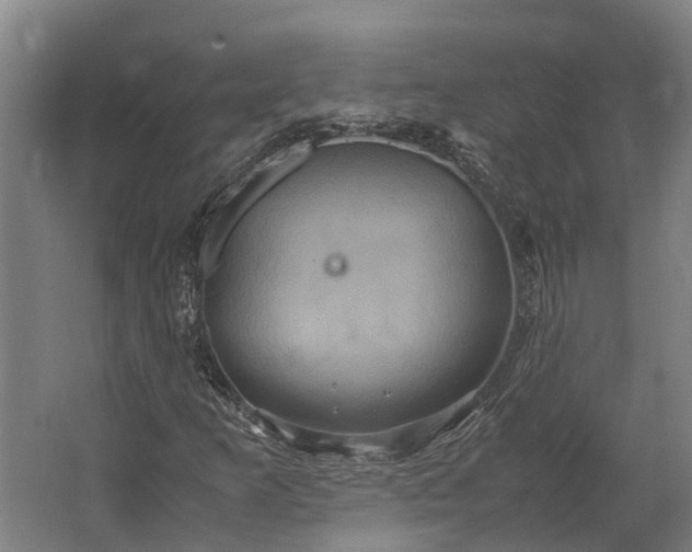 X0000062621253200601040956