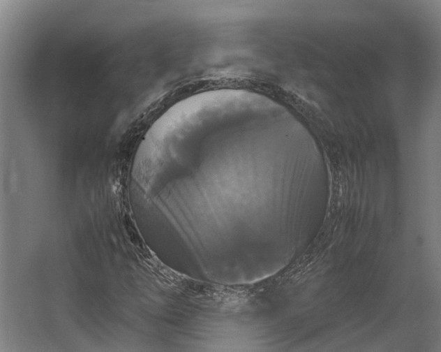 X0000062621254200601040956