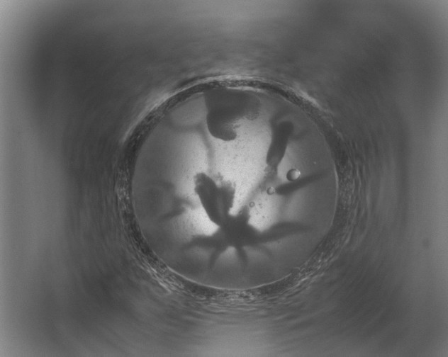 X0000062621255200601040956