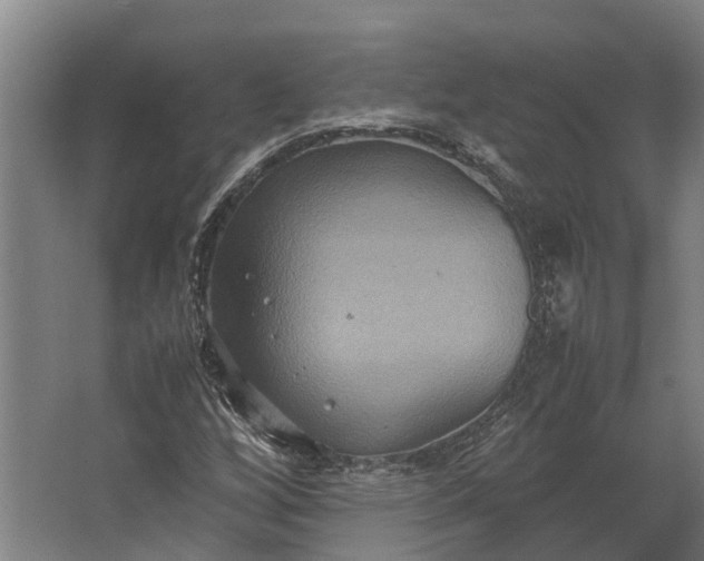 X0000062621256200601040956