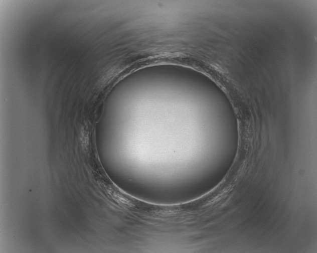 X0000062621257200601040956