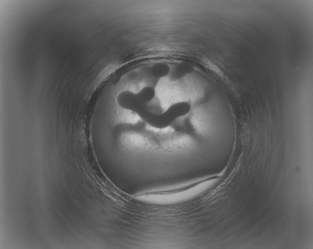 X0000062621259200601040956