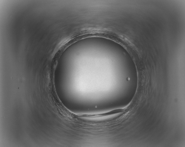 X0000062621261200601040956