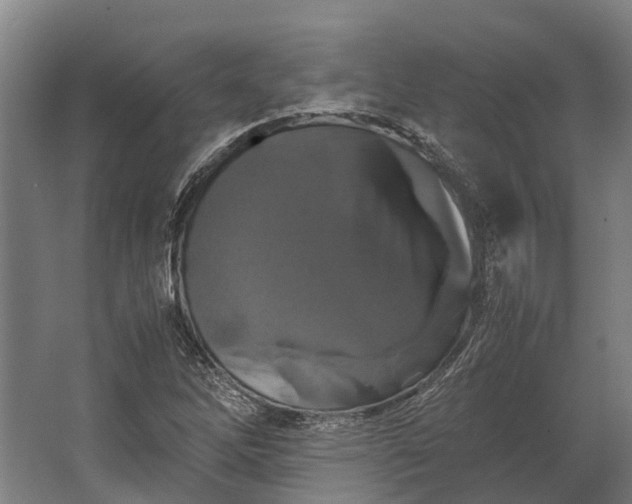 X0000062621262200601040956