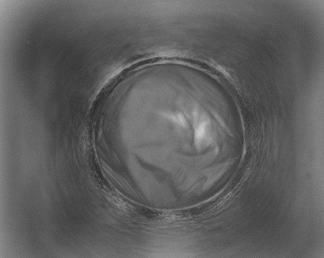 X0000062621263200601040956