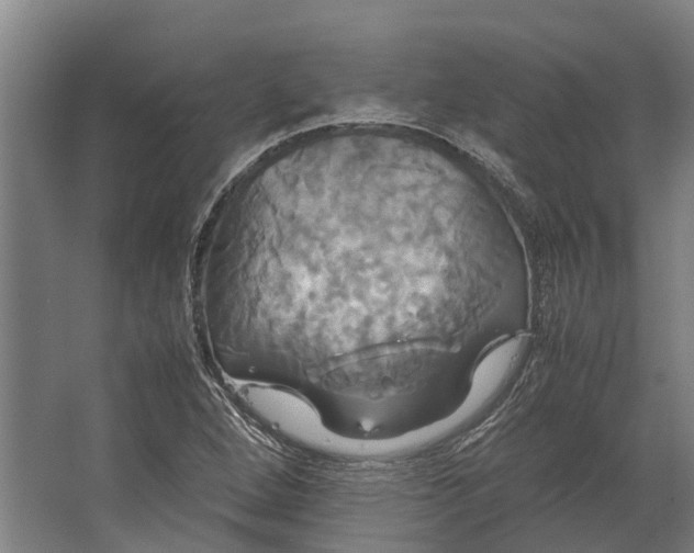 X0000062621264200601040956