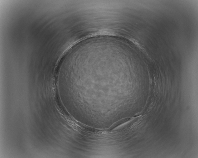 X0000062621266200601040956