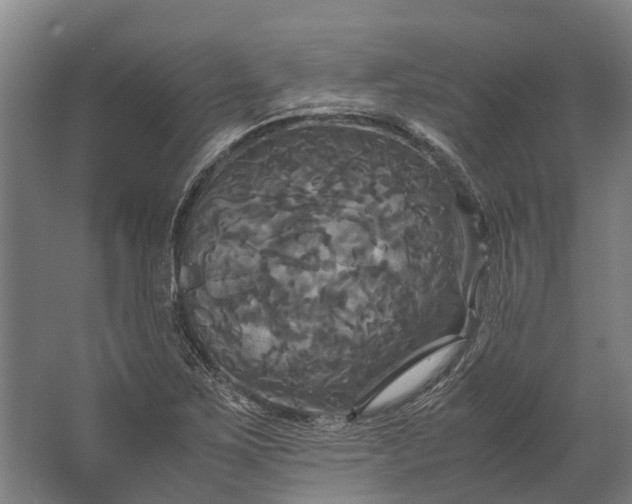 X0000062621267200601040956