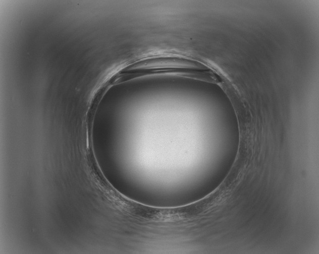 X0000062621269200601040956