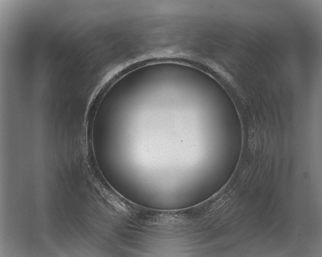 X0000062621270200601040956